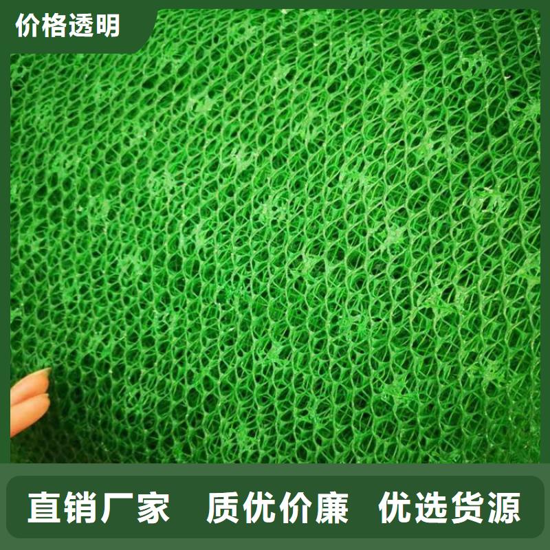 三维植被网通风降噪丝网买的是放心