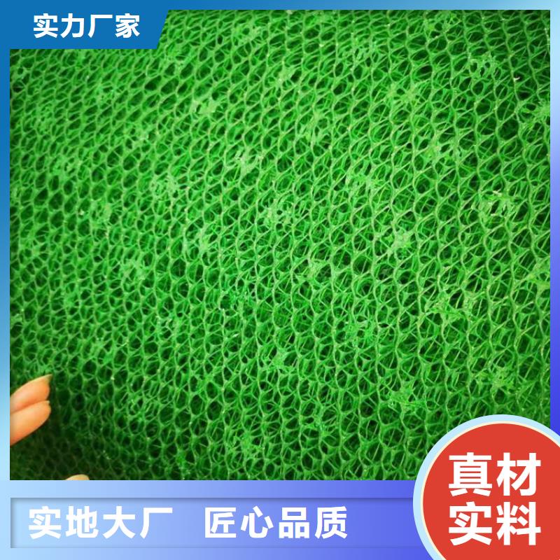 EM3塑料三维固土网垫
