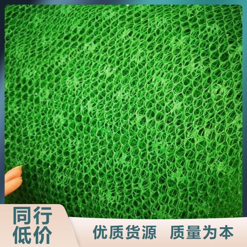 三维护坡加筋网垫批发-哪里有卖的