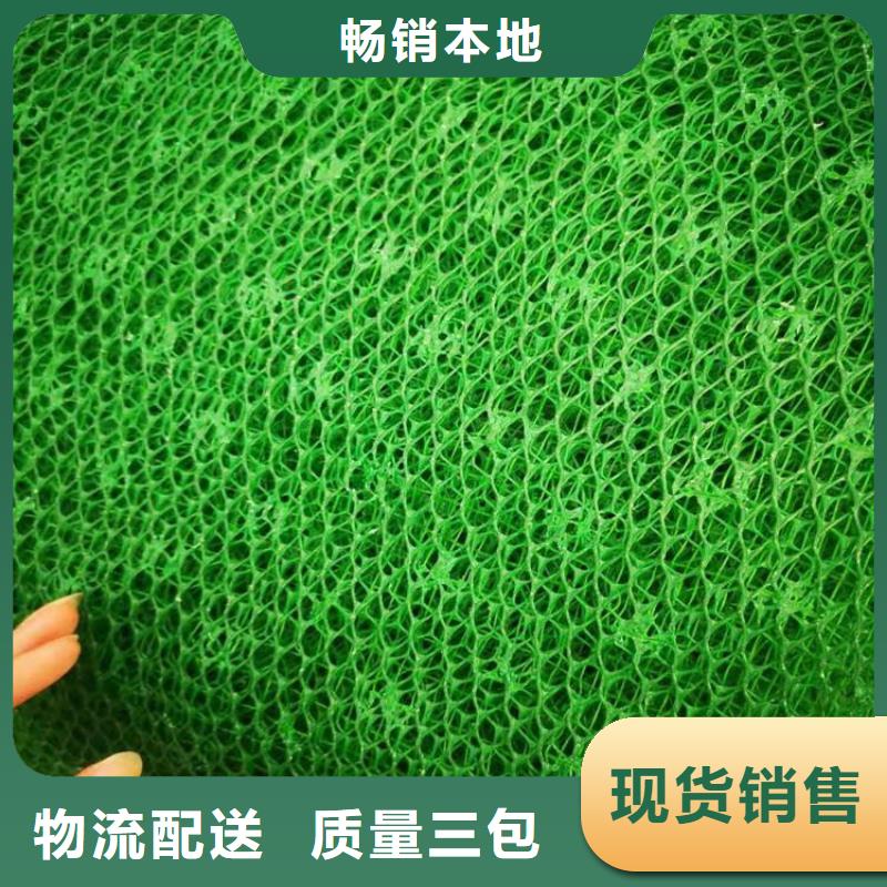 三维植被网HDPE土工膜重信誉厂家
