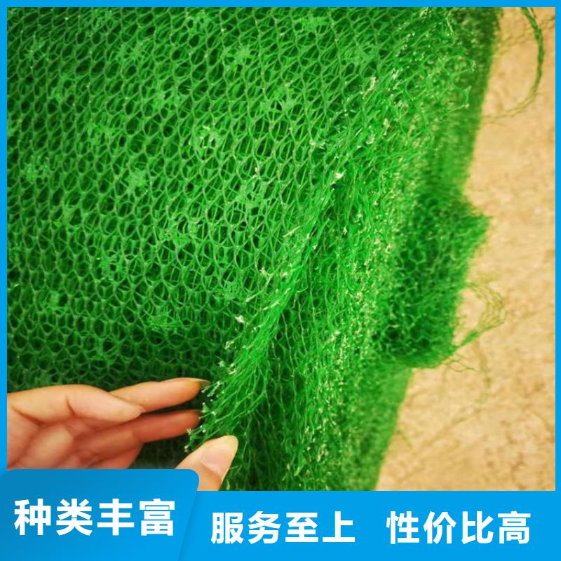 三维植被网通风降噪丝网买的是放心