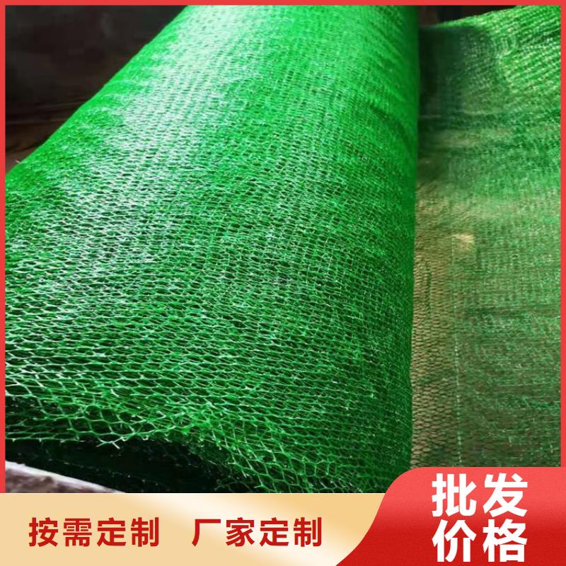 三维植被网抗裂贴优选厂家