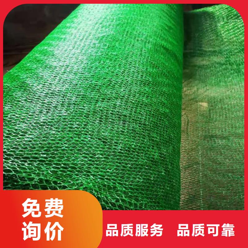 三维植被网土工布严格把控每一处细节