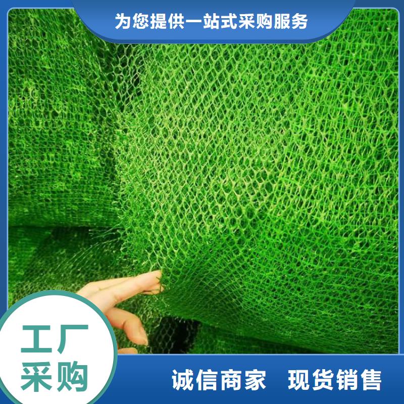 三维植被网-防水毯多行业适用