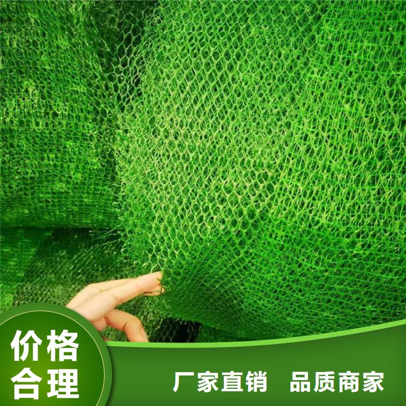 三维护坡植草网垫特点性能