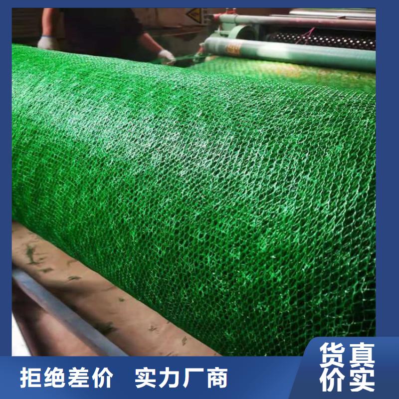 三维植被网土工布严格把控每一处细节