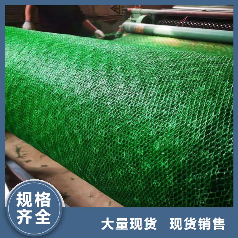 环保绿化三维植被网