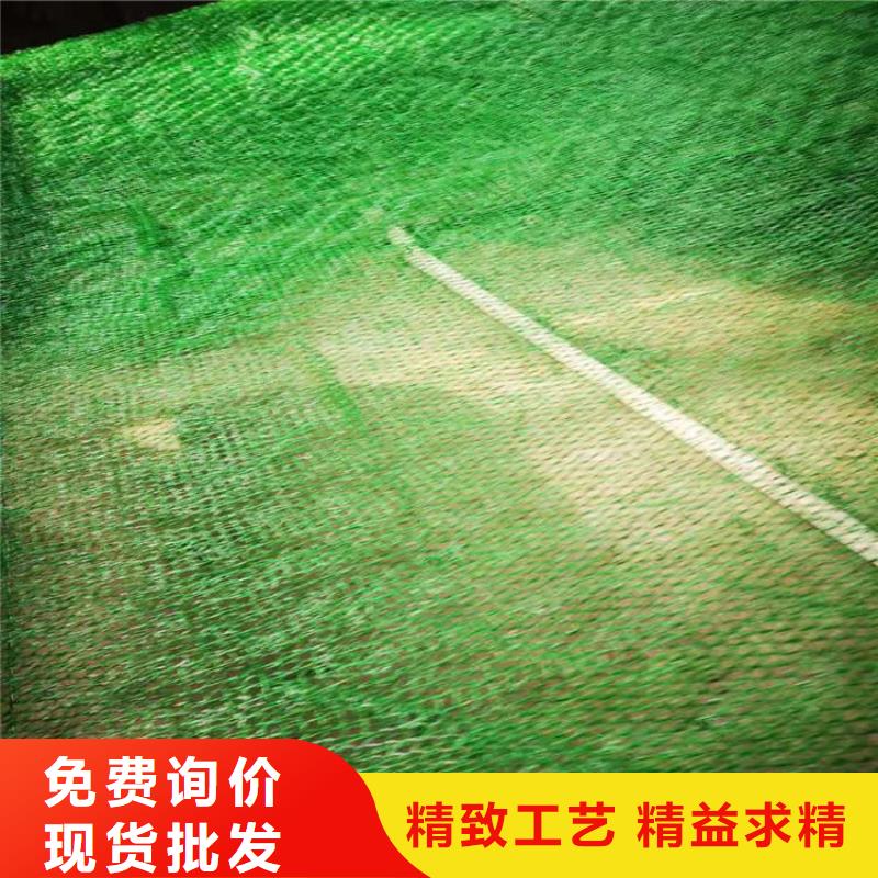 加筋塑料三维加筋土工网垫