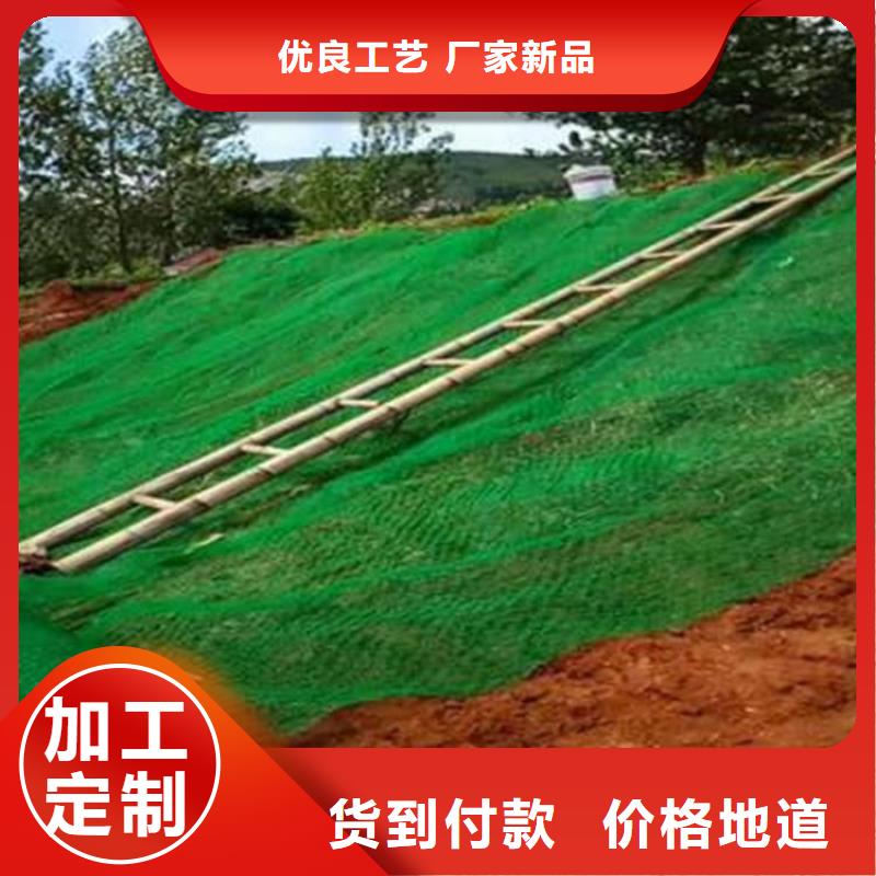 三维植被网土工膜一站式采购商