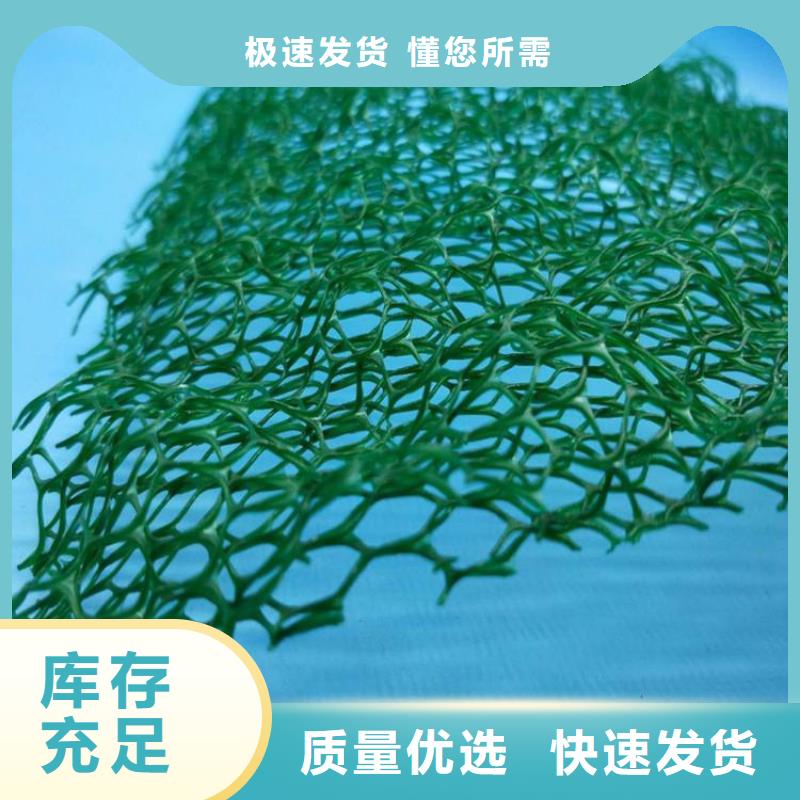 加筋塑料三维加筋土工网垫