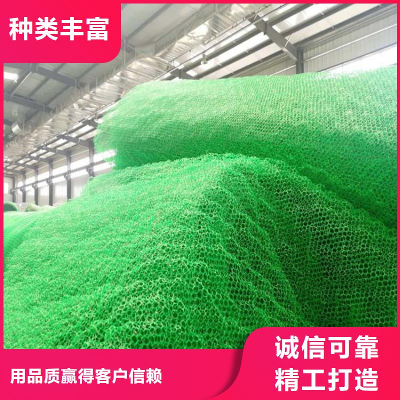 绿化草皮三维固土网垫