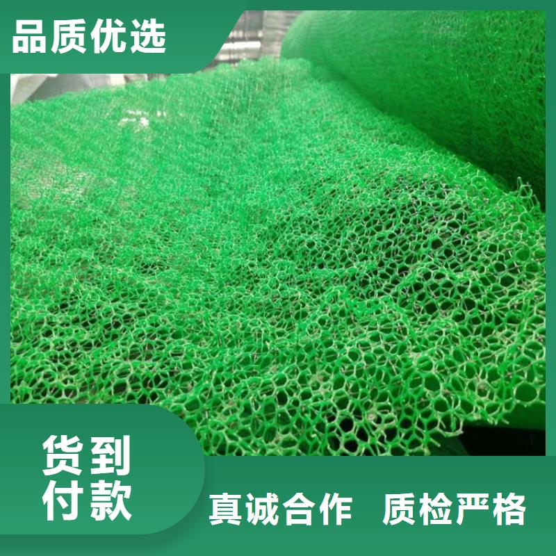 三维护坡植草网垫批发供应