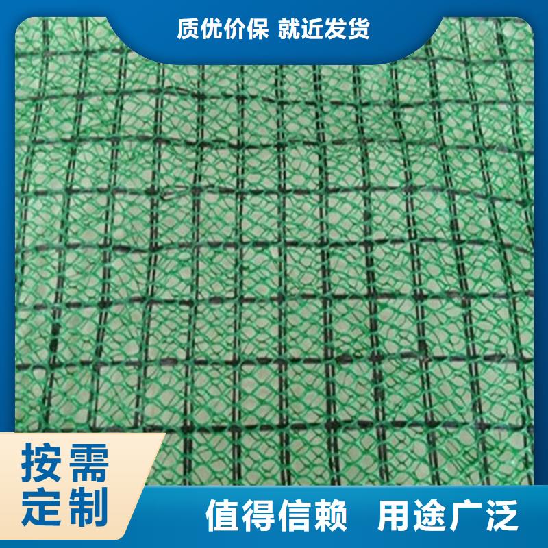 三维植被网_钢塑土工格栅一站式采购商家