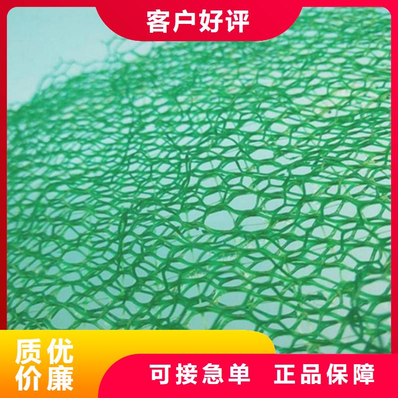 边坡护坡三维护坡加筋网垫