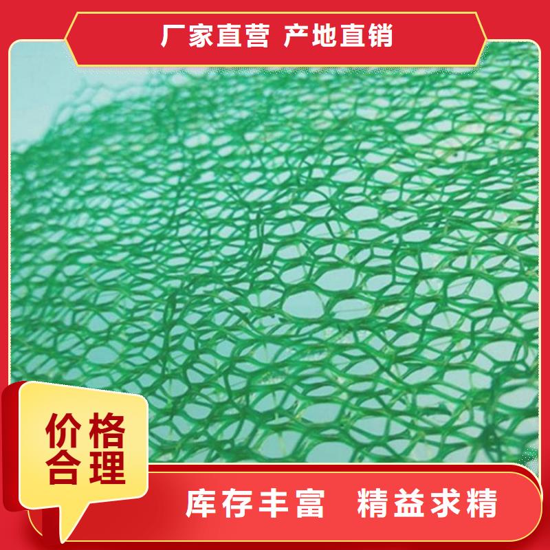 三维植草护坡网垫-EM3三维土工网垫资讯动态