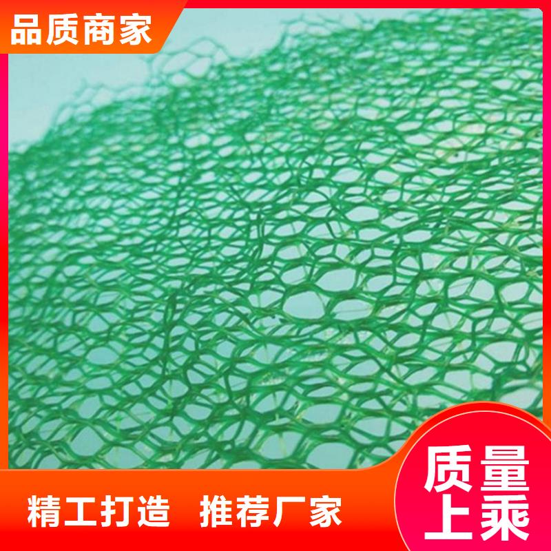 三维固土网垫#固土草皮