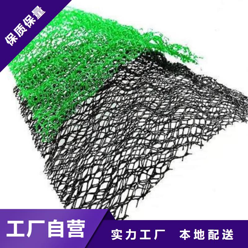 草皮EM4三维护坡加筋网垫