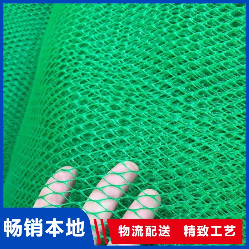 三维植被网HDPE土工膜重信誉厂家