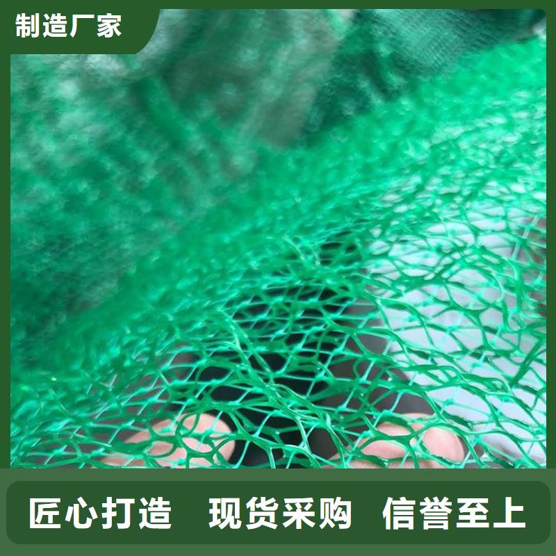三维护坡植草网垫特点性能