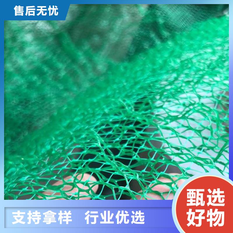 三维固土网垫#环保绿化