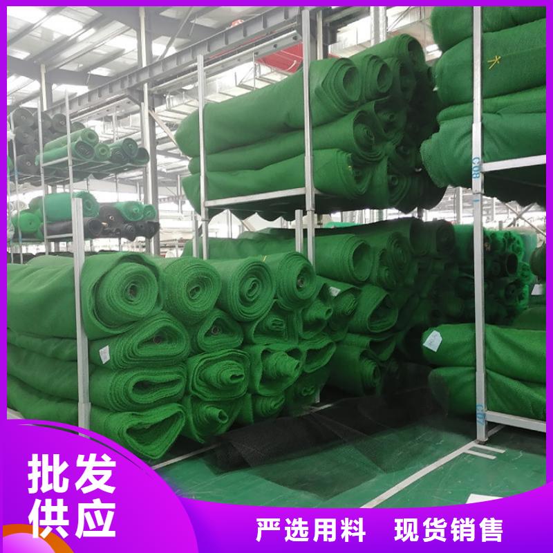 三维加筋土工网垫#护坡环保