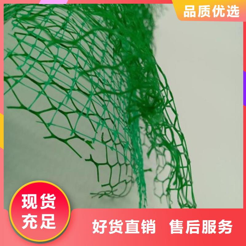 三维植被网土工膜一站式采购商