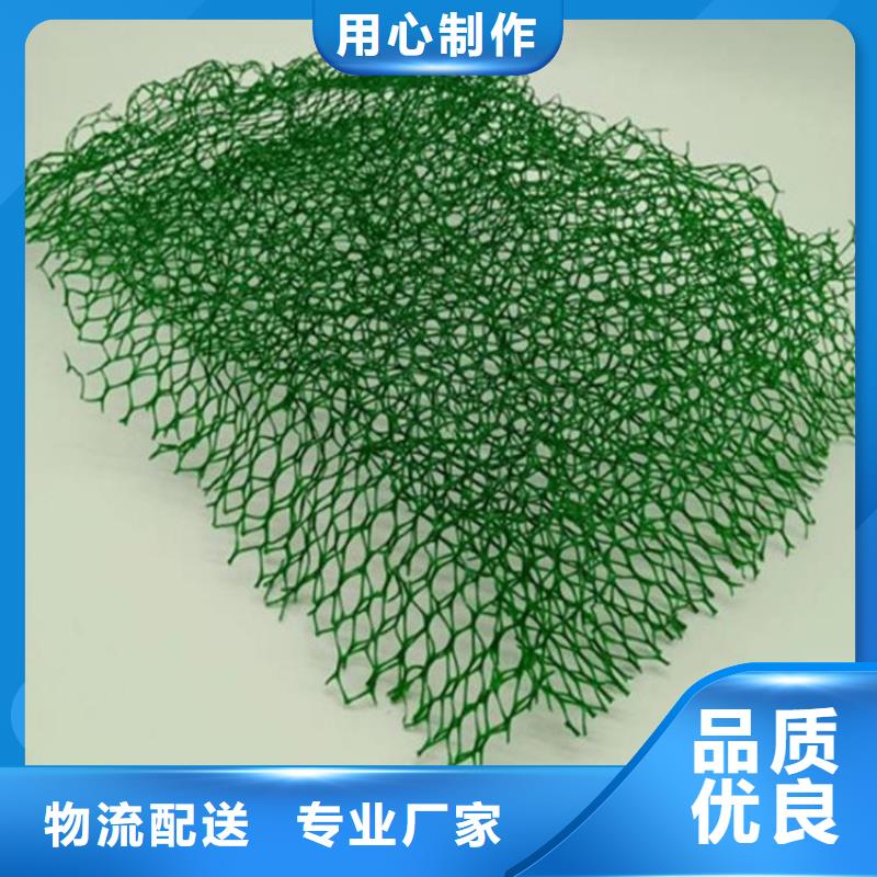 加筋草皮三维固土网垫