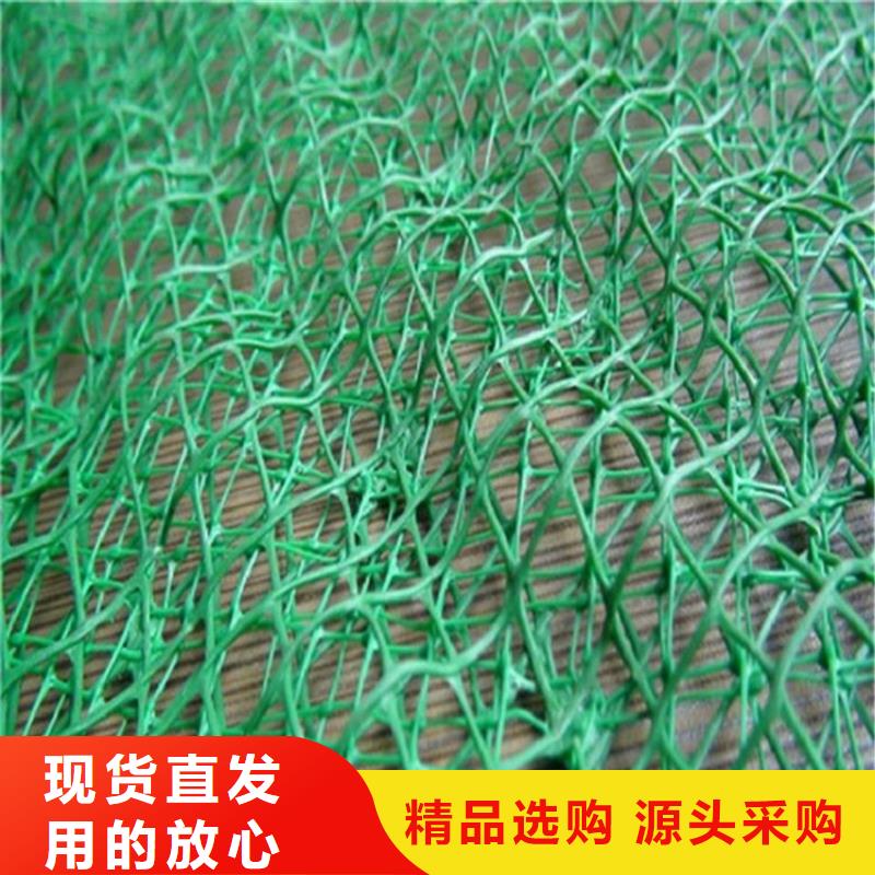 三维植被网矿用格栅拒绝差价