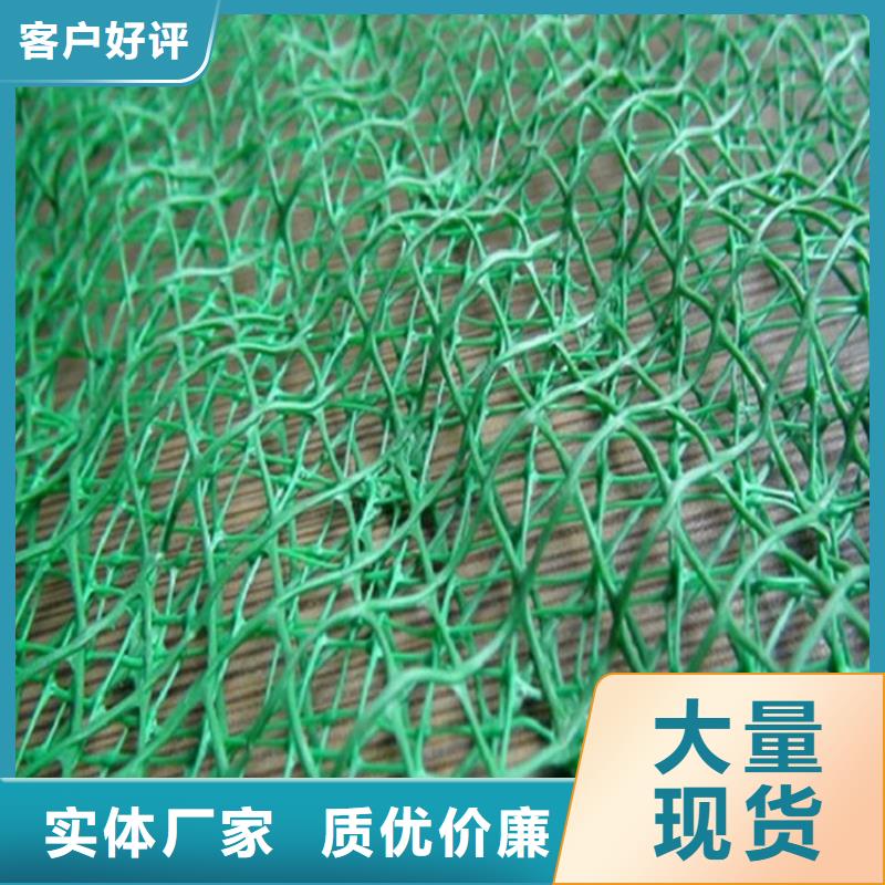 加筋草皮三维固土网垫