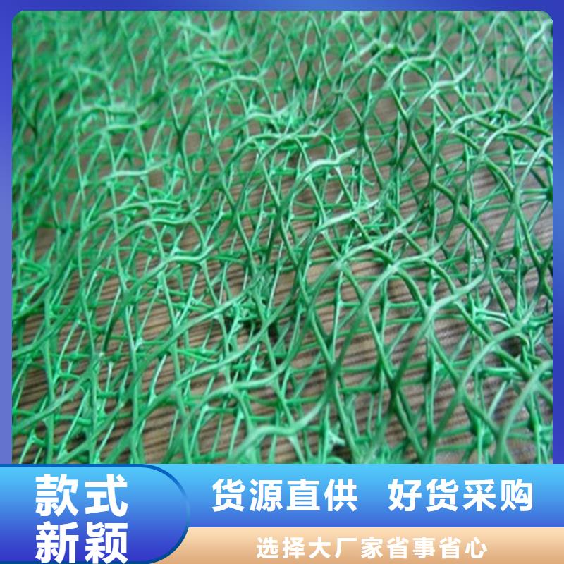 三维护坡加筋网垫#EM2固土