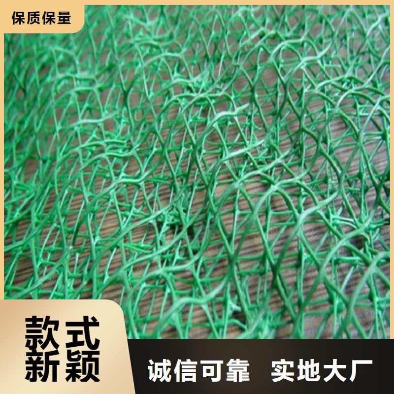 三维护坡植被网垫#EM2绿化