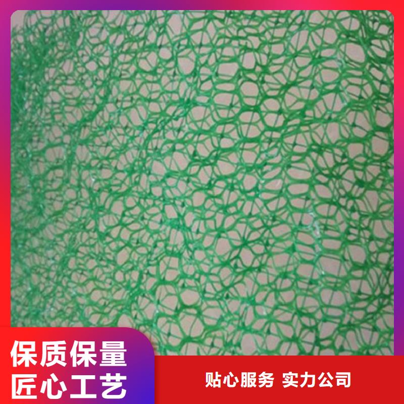 三维植被网供应代理