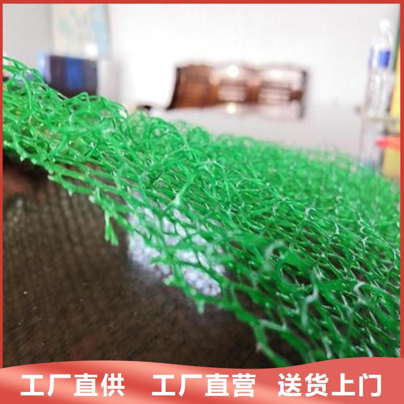 三维植被网_钢塑土工格栅一站式采购商家