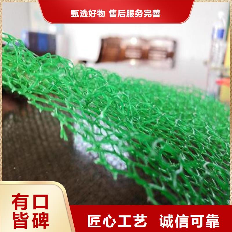 三维护坡加筋网垫#EM2固土