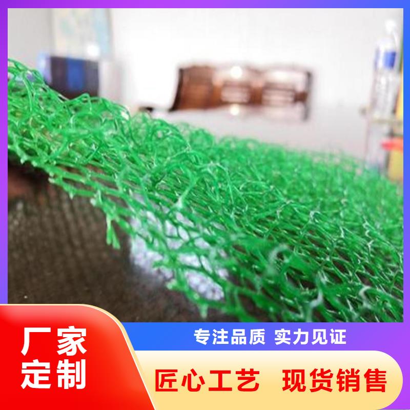 三维加筋土工网垫施工团队