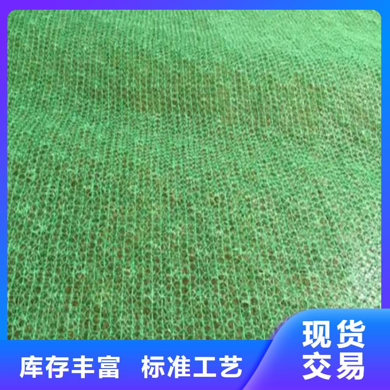三维固土网垫-三维网植草护坡型号特点