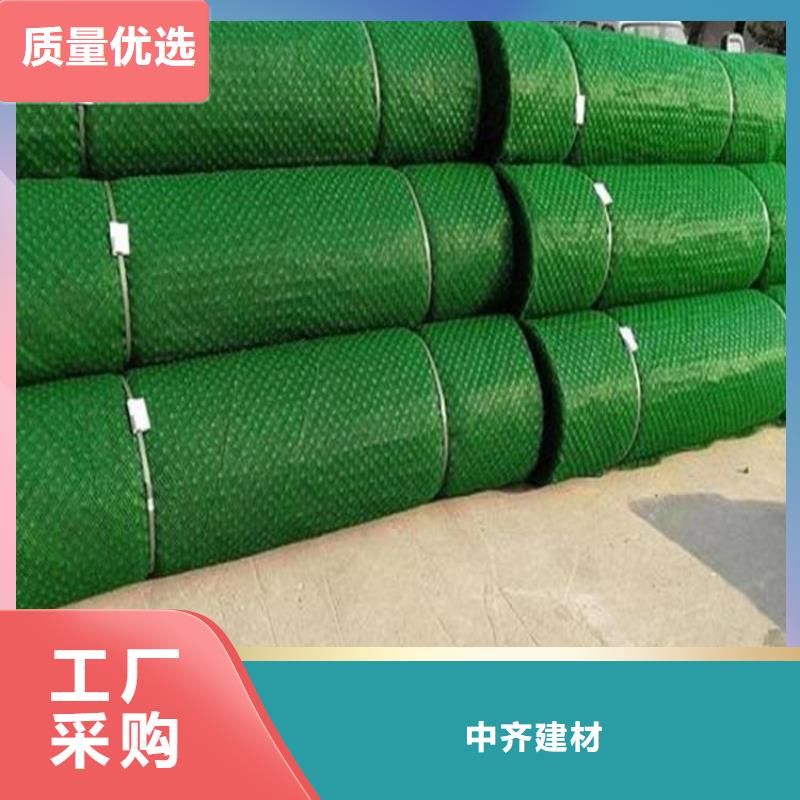 边坡护坡三维护坡植被网垫