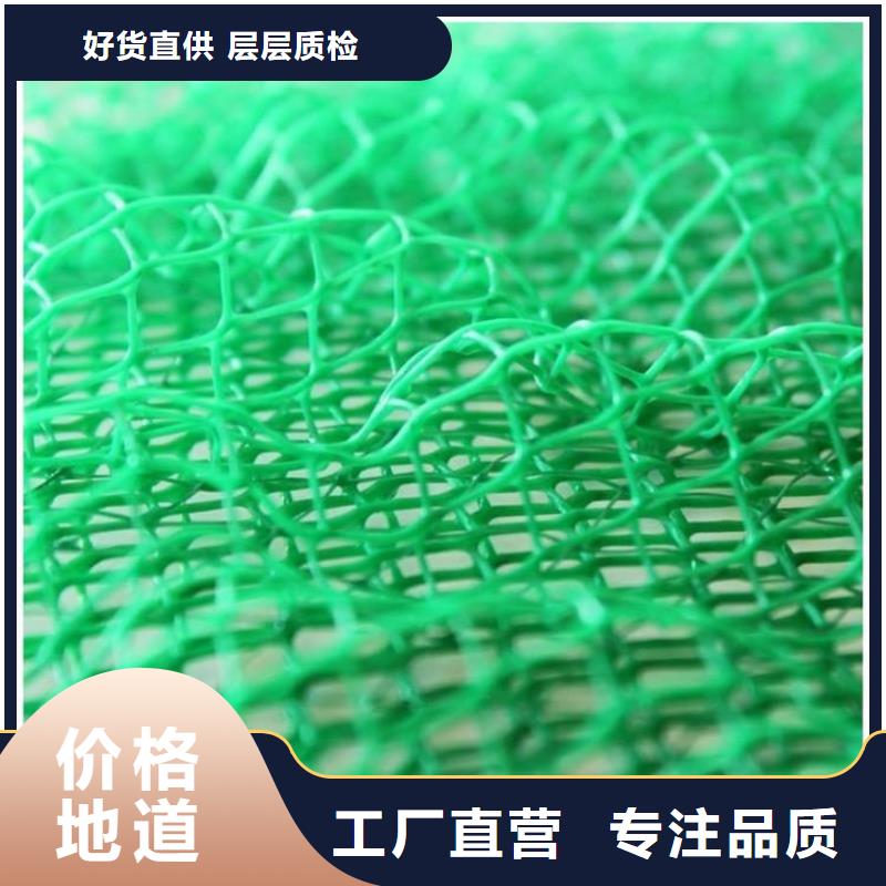 三维加筋植草网垫代理/哪里有卖的
