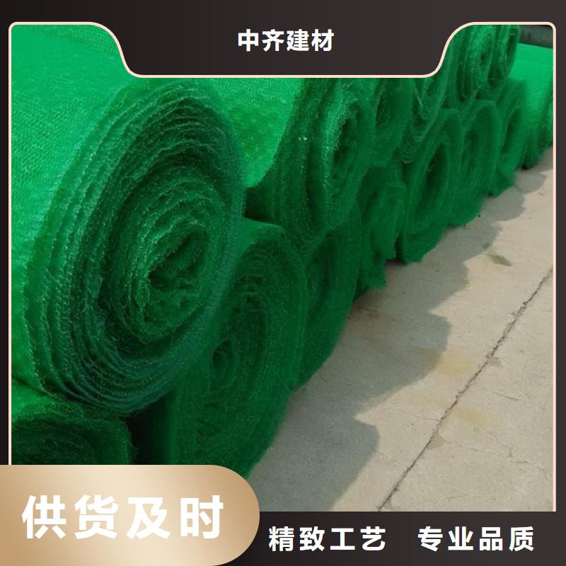 三维加筋土工网垫施工团队