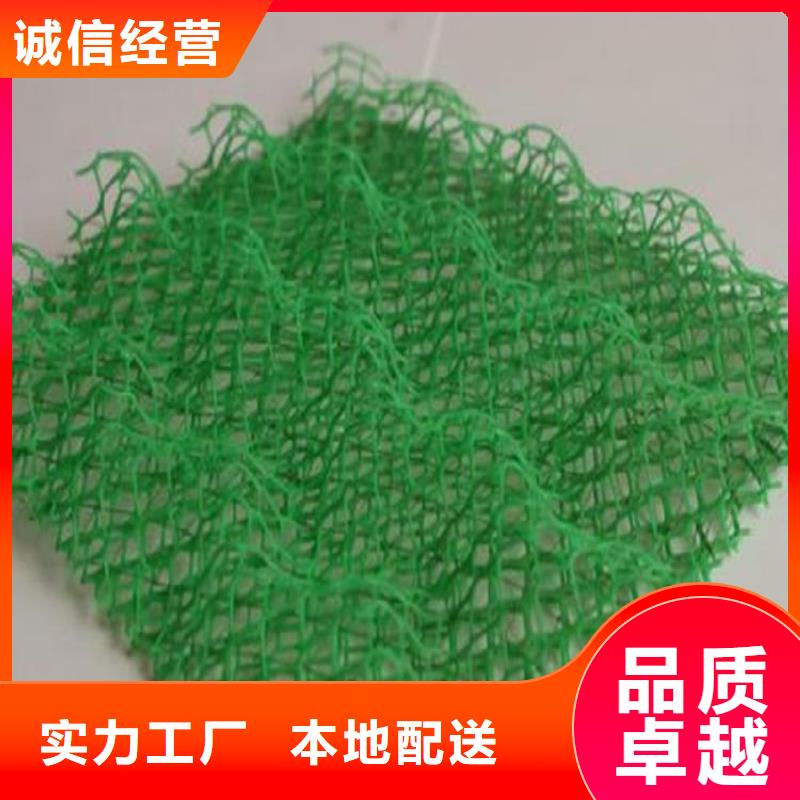三维固土网垫#环保绿化