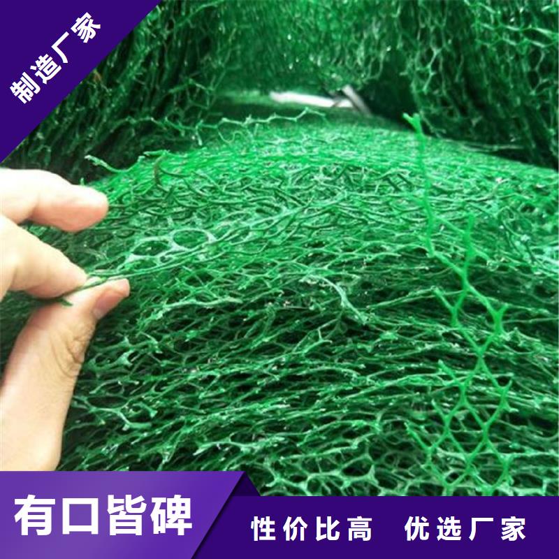 边坡护坡三维护坡植被网垫