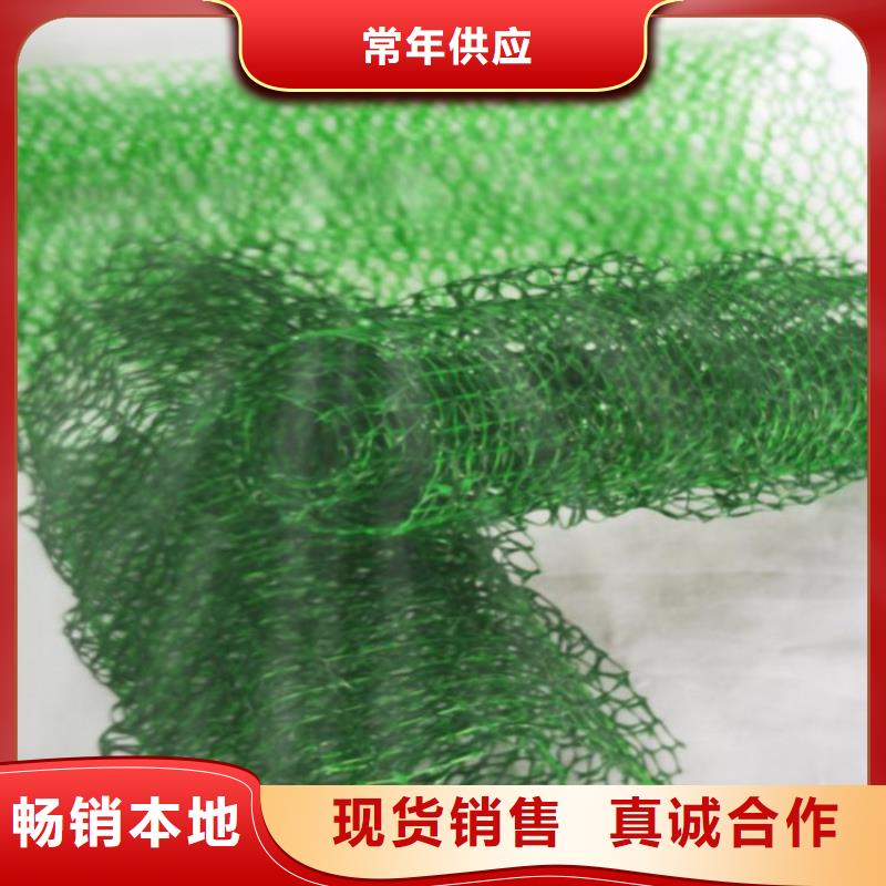 三维植被网土工布严格把控每一处细节