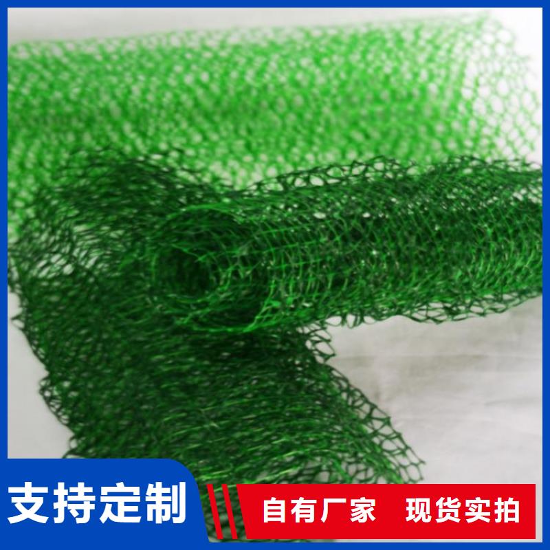边坡护坡三维护坡植被网垫