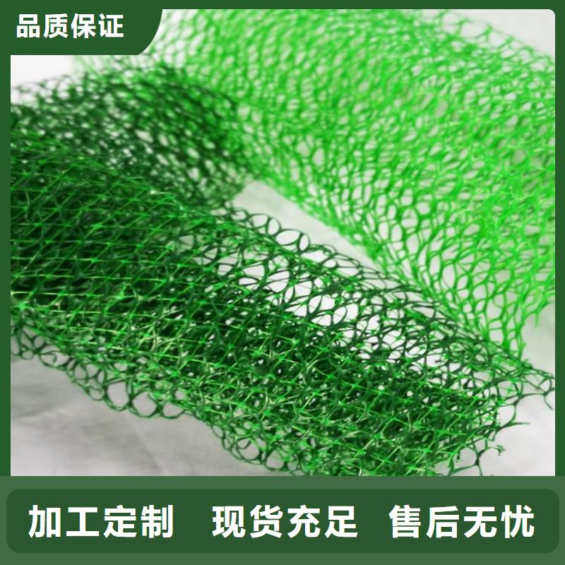 三维固土网垫-三维护坡网垫施工