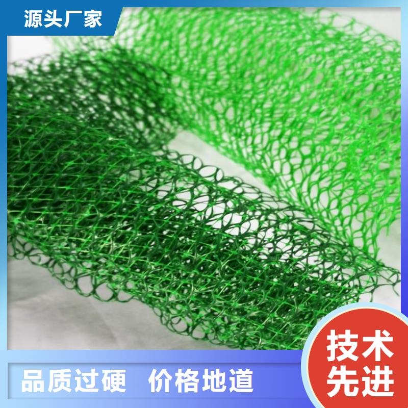 【三维植被网-无纺布产地工厂】