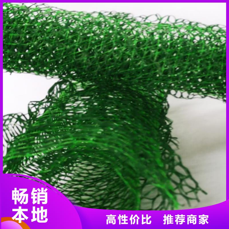 三维护坡植草网垫特点性能