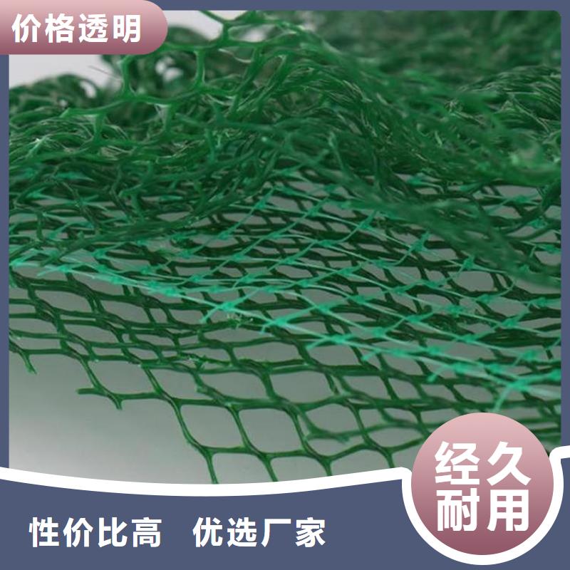 三维护坡植草网垫规范施工