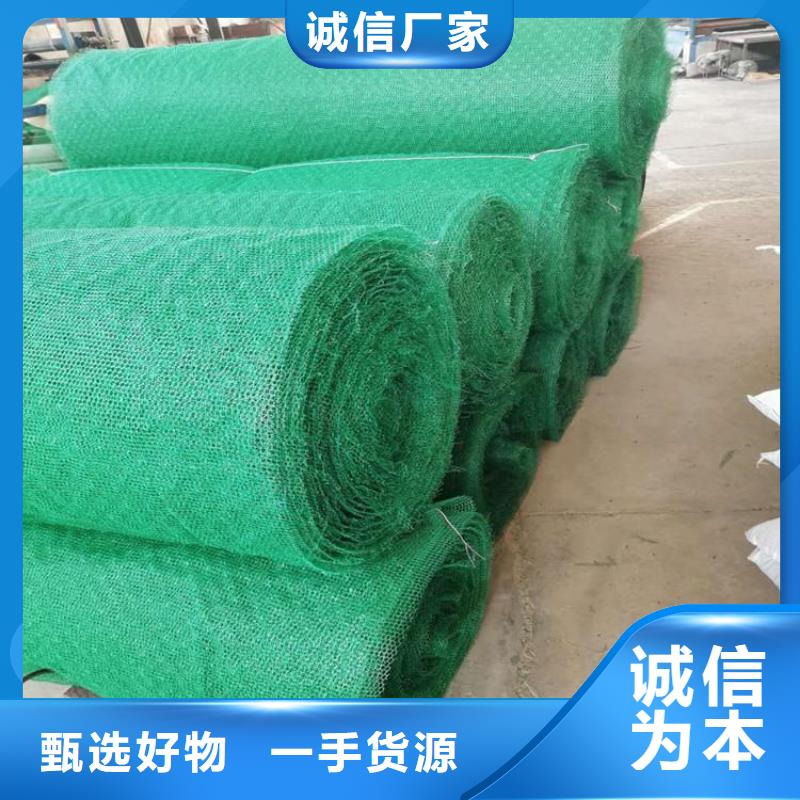 EM3边坡三维护坡加筋网垫