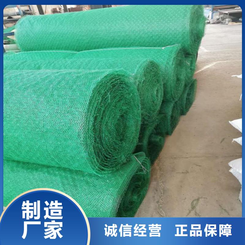 三维植被网HDPE土工膜重信誉厂家