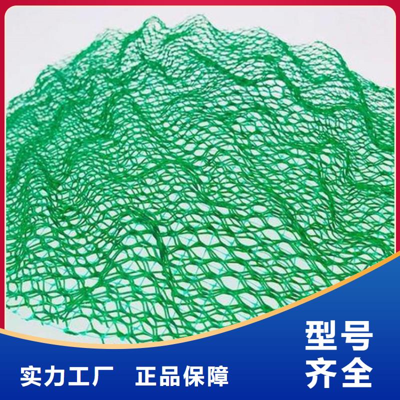 三维植被网土工格栅性价比高